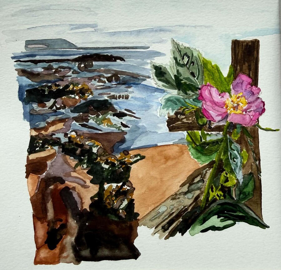 Painting of a wild rose on the shore